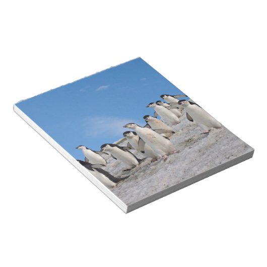 kinbandpinguïns | Pygoscelis Antarctica Notitieblok (Schuin)
