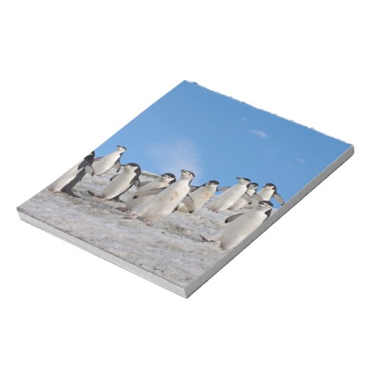 kinbandpinguïns | Pygoscelis Antarctica Notitieblok (Linkerzijde)
