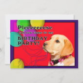 Kind Birthday Party Invitation, Dog, Yellow Lab Kaart (Voorkant)