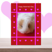 Kind cavia Valentijn Kaart