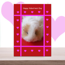 Kind cavia Valentijn Kaart