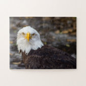 Kind Edition American Eagle Jigzaag Puzzle Legpuzzel (Horizontaal)