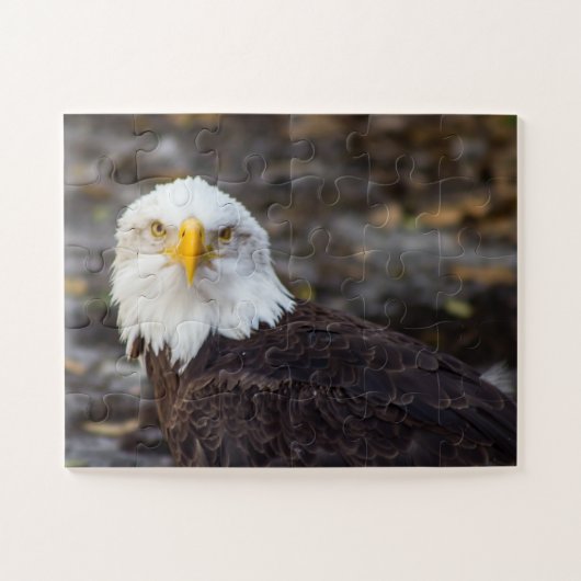 Kind Edition American Eagle Jigzaag Puzzle Legpuzzel (Horizontaal)