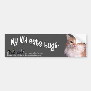 "Kind eet bugs" Kat Bumpersticker