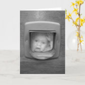 Kind en een Wenskaart van de Klep van de Kat Kaart (Gele Bloem)