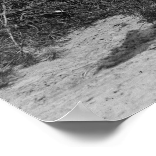  kind en Pony Poster (Hoek)