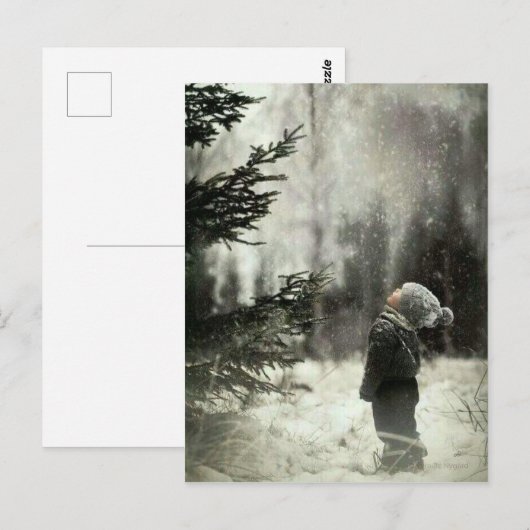 Kind en spar briefkaart (Voorkant / Achterkant)