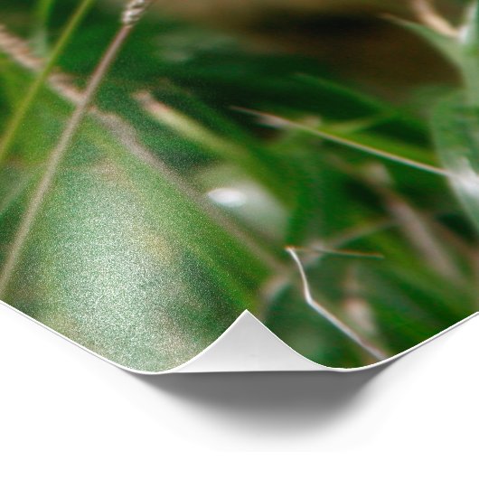 Kind Foto Afdruk (Hoek)