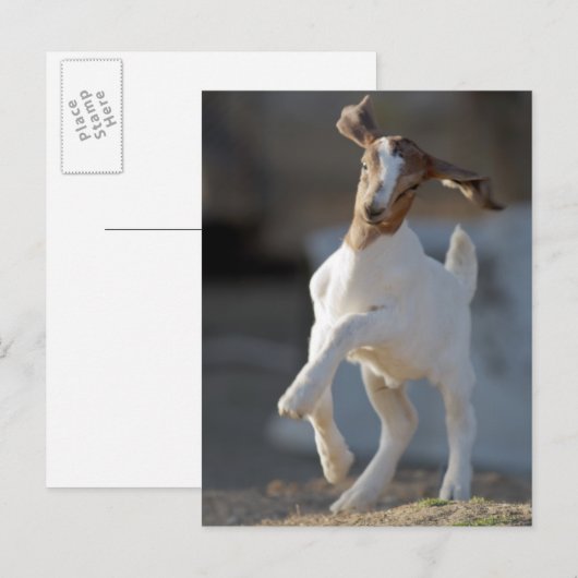 Kind Geitenspelen Briefkaart (Voorkant / Achterkant)