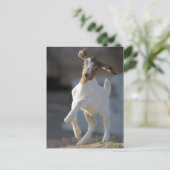 Kind Geitenspelen Briefkaart (Staand voorkant)