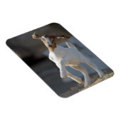 Kind Geitenspelen Magneet (Rechterzijde)