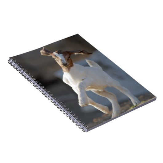 Kind Geitenspelen Notitieboek (Rechterzijde)