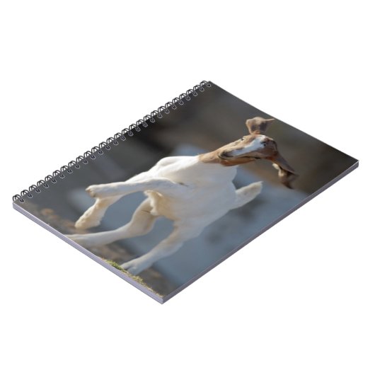 Kind Geitenspelen Notitieboek (Linkerzijde)