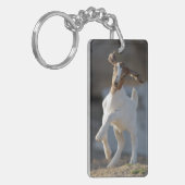Kind Geitenspelen Sleutelhanger (Voorkant Links)