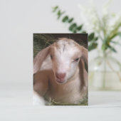 Kind Geitte Briefkaart (Staand voorkant)