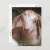 Kind Geitte Briefkaart (Voorkant / Achterkant)