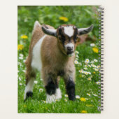 Kind gepersonaliseerd Pygmy Dwarf Goat Planner (Achterkant)