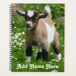 Kind gepersonaliseerd Pygmy Dwarf Goat Planner