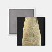 Kind in wasgoed magneet (Voorkant / Achterkant)