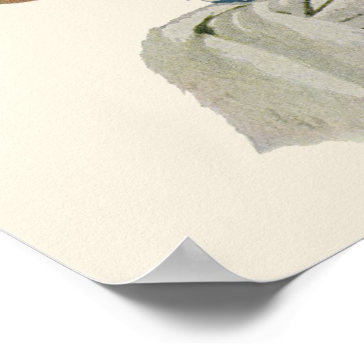  kind, jongen die pirate Parrot Bird speelt Poster (Hoek)