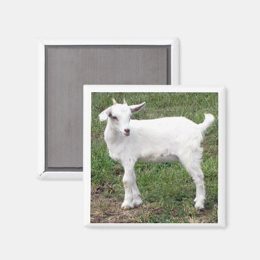 "kind" magneet (Voorkant / Achterkant)