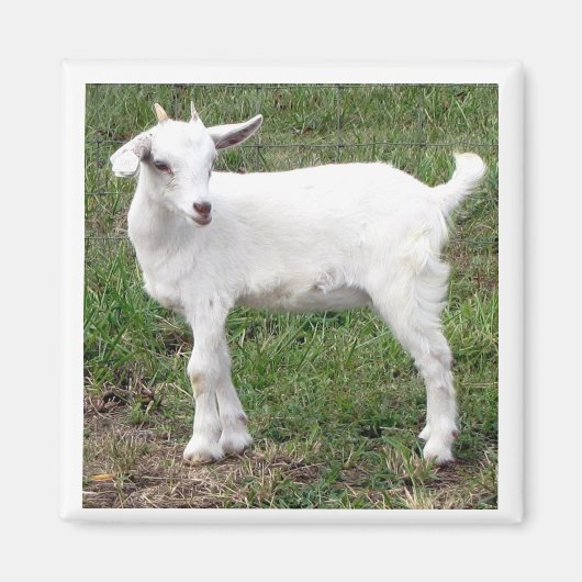 "kind" magneet (Voorkant)