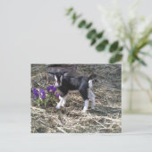 Kind met de naam VloerBriefkaart Briefkaart (Staand voorkant)