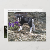 Kind met de naam VloerBriefkaart Briefkaart (Voorkant / Achterkant)