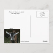 Kind met de naam VloerBriefkaart Briefkaart (Achterkant)