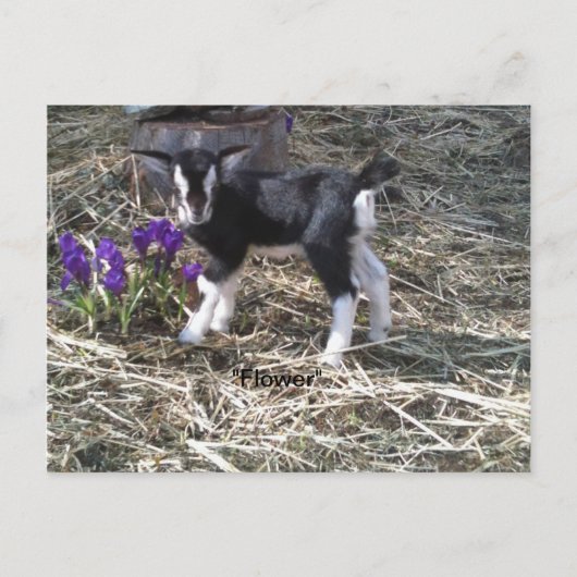 Kind met de naam VloerBriefkaart Briefkaart (Voorkant)