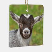 Kind Pygmy Pet Goat Keramisch Ornament (Rechts)