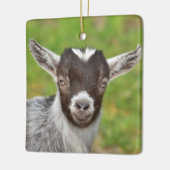 Kind Pygmy Pet Goat Keramisch Ornament (Links)