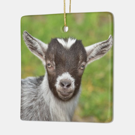 Kind Pygmy Pet Goat Keramisch Ornament (Links)
