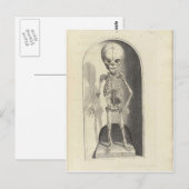 Kind Skeleton Briefkaart (Voorkant / Achterkant)