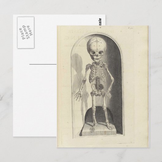 Kind Skeleton Briefkaart (Voorkant / Achterkant)