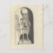 Kind Skeleton Briefkaart (Voorkant)