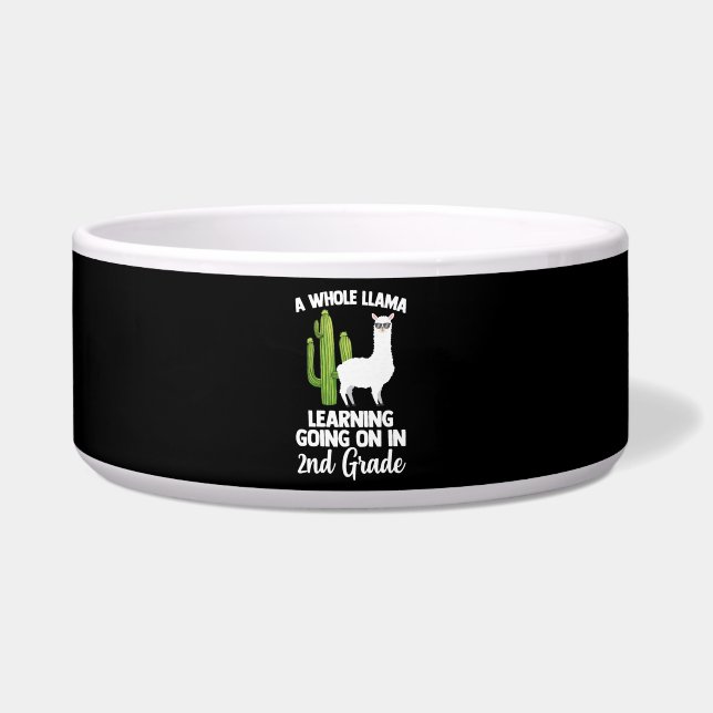 kind van de tweede klas van de leraar voerbakje (Voorkant)