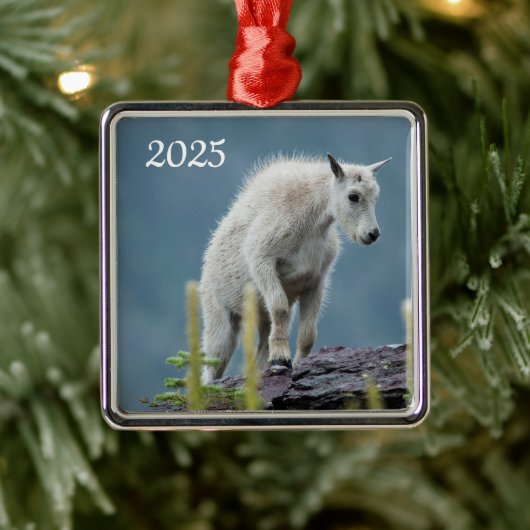 Kind van gebergte, Glacier National Park, Montana Metalen Ornament (Boom)