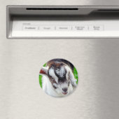 Kind van  geiten magneet (Insitu (Vaatwasser))