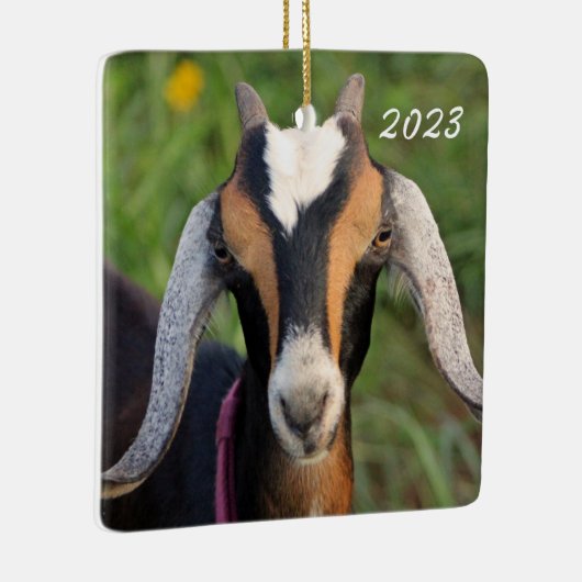 Kind van kleurrijke miniatuurgeit in Nubian Dairy Keramisch Ornament (Rechts)