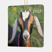 Kind van kleurrijke miniatuurgeit in Nubian Dairy Keramisch Ornament (Links)