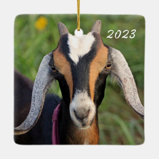 Kind van kleurrijke miniatuurgeit in Nubian Dairy Keramisch Ornament (Achterkant)