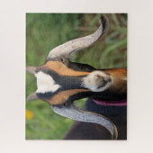 Kind van kleurrijke miniatuurgeit in Nubian Dairy Legpuzzel (Verticaal)