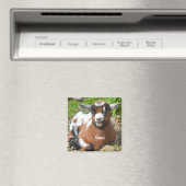 Kind van schattig Baby Magneet (Insitu (Vaatwasser))