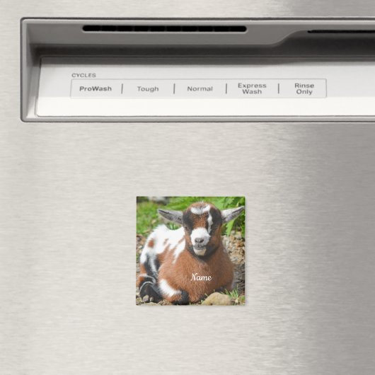 Kind van schattig Baby Magneet (Insitu (Vaatwasser))