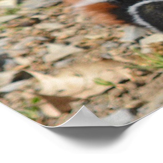 Kind van schattig Baby Poster (Hoek)