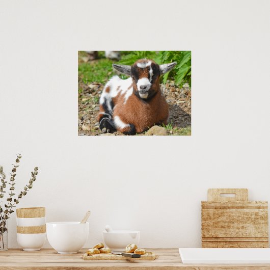 Kind van schattig Baby Poster (Keuken)