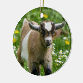 Kind van zoete dwerggeit in bloemen keramisch ornament (Links)