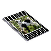 Kind van zwarte en witte poka Dot Nigerian Dwarf G Notitieboek (Rechterzijde)