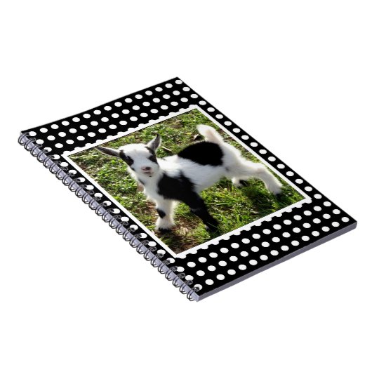 Kind van zwarte en witte poka Dot Nigerian Dwarf G Notitieboek (Rechterzijde)